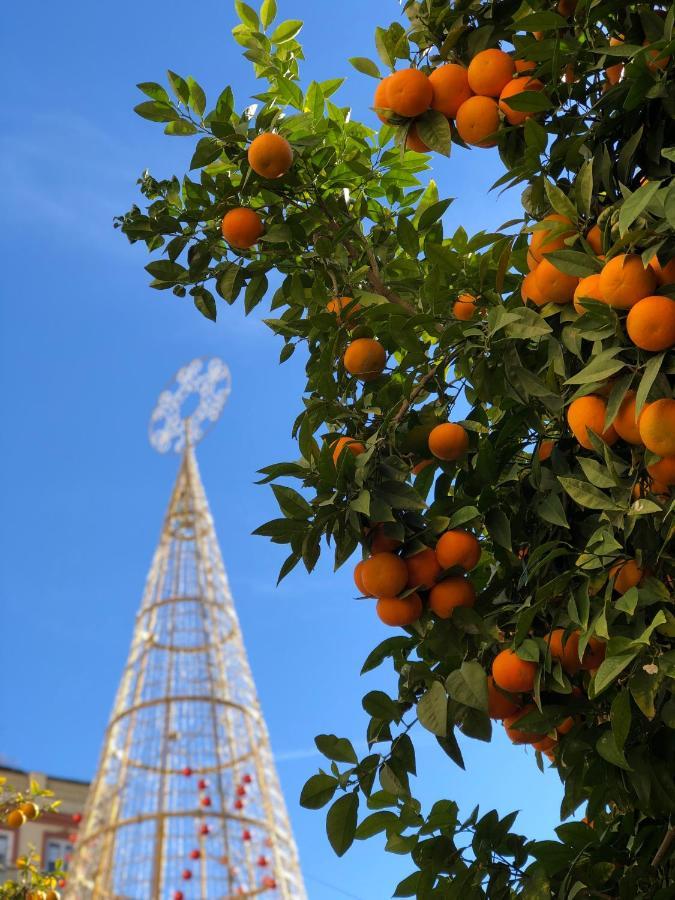 Picasso City Center 1A Málaga Dış mekan fotoğraf